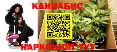 кокс Кингисепп