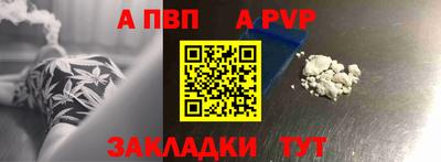 кокс Кингисепп