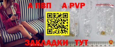 кокс Кингисепп
