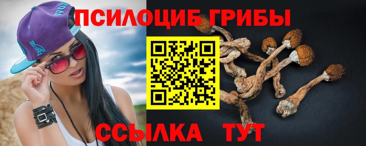 Псилоцибиновые грибы Psilocybine cubensis Кувандык